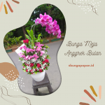 Bunga Meja Anggrek Bulan - BMAB140